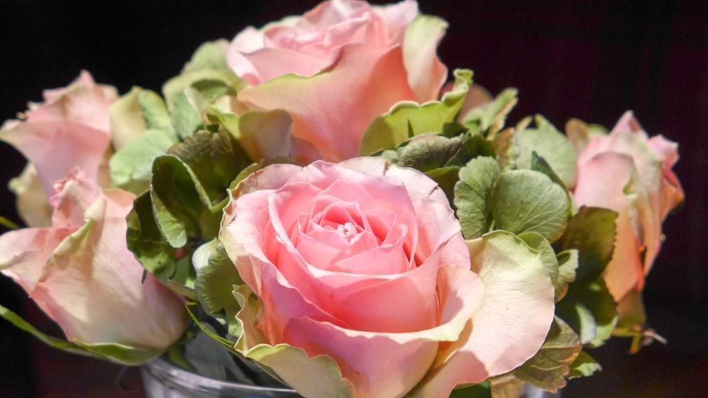 Hotel Garni Roemerhof อินส์บรุค ภายนอก รูปภาพ